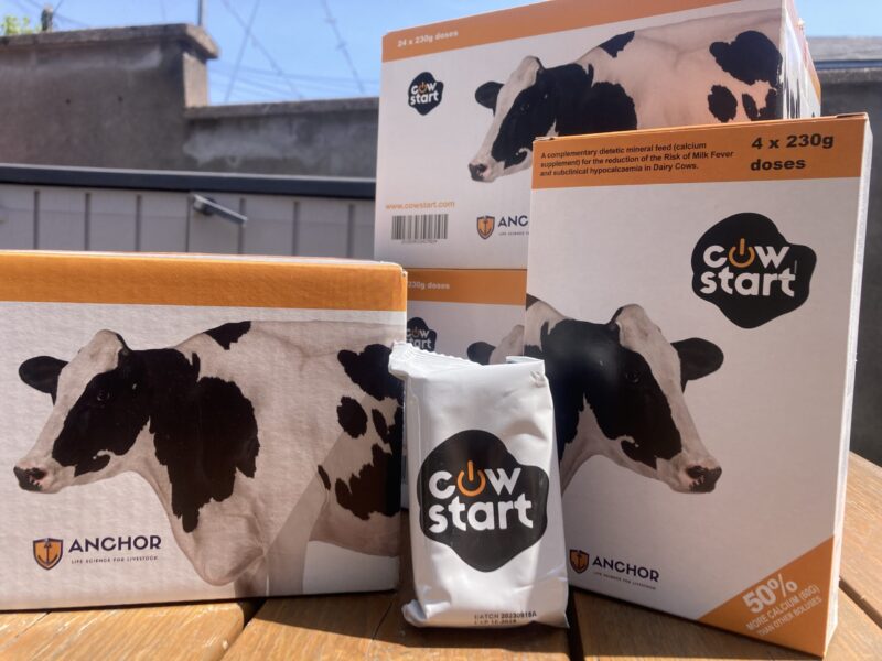 CowStart dairy cow supplement packaging on wooden table.