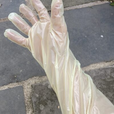 Hand wearing transparent glove on pavement