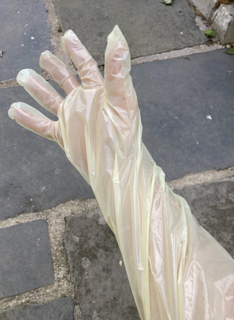 Hand wearing transparent glove on pavement