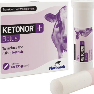 Ketonor bolus for ketosis risk reduction in cows.